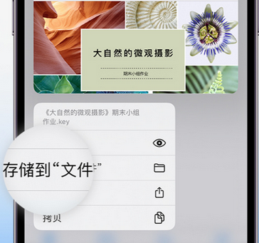 宿州apple维修中心分享iPhone文件应用中存储和找到下载文件