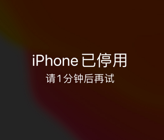 宿州苹果手机维修分享:iPhone 显示“不可用”或“已停用”怎么办？还能保留数据吗？ 