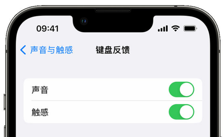 宿州苹果手机维修分享iPhone 14触感键盘使用方法 