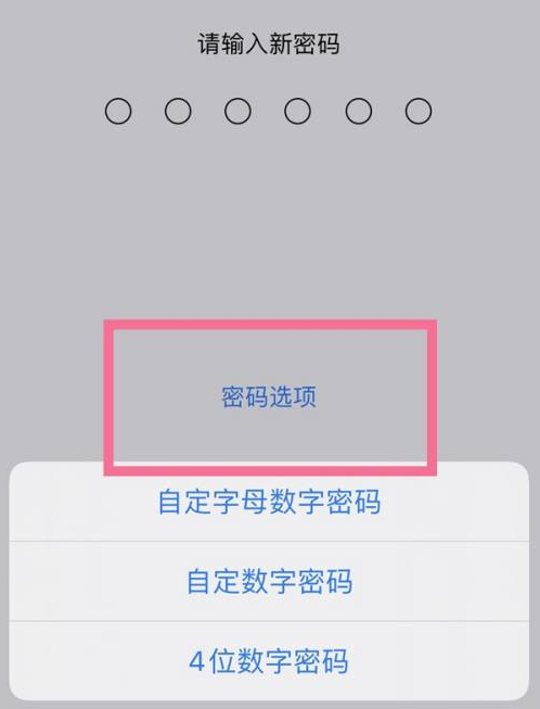 宿州苹果14维修分享iPhone 14plus设置密码的方法 