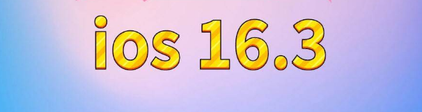 宿州苹果服务网点分享苹果iOS16.3升级反馈汇总 