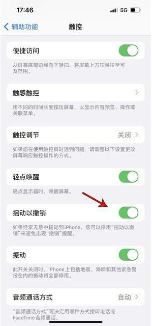 宿州苹果手机维修分享iPhone手机如何设置摇一摇删除文字 